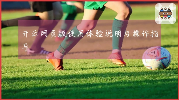 开云网页版使用体验说明与操作指导