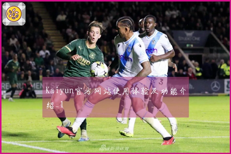 Kaiyun官方网站使用体验及功能介绍_1
